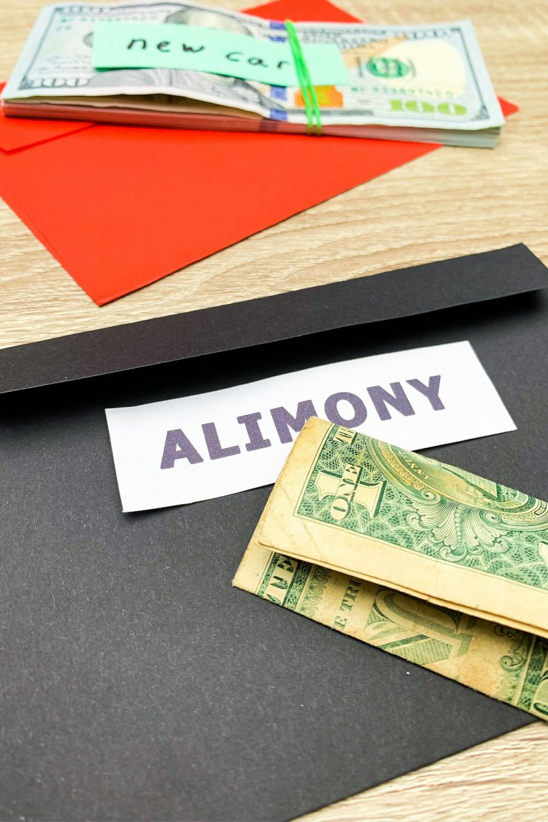 Concept demonstrates the payment of alimony, money allocated for the child